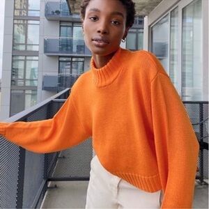 Aritzia Wilfred Free Heinen Orange Turtleneck
Sweater 100% Merino Wool Size S